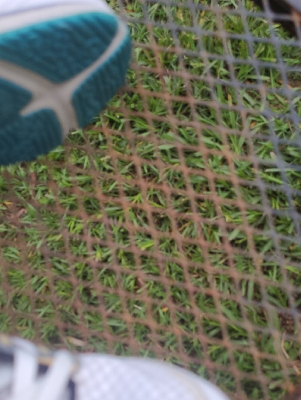 Merrell Lightweight Running Shoe - Picture 6 of 14